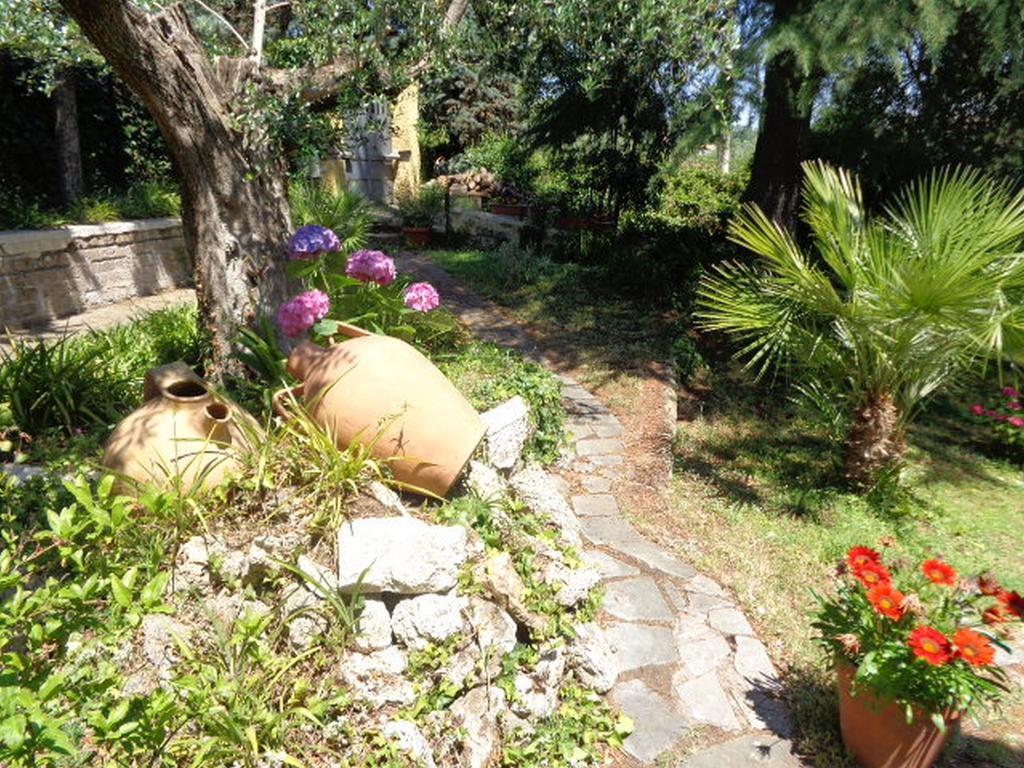 Villa Olcimia Capena Номер фото